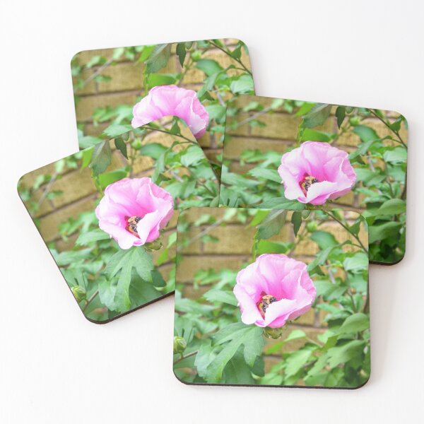 Item preview, Bee and Hyacinth  designed and sold by SRosuphotos.