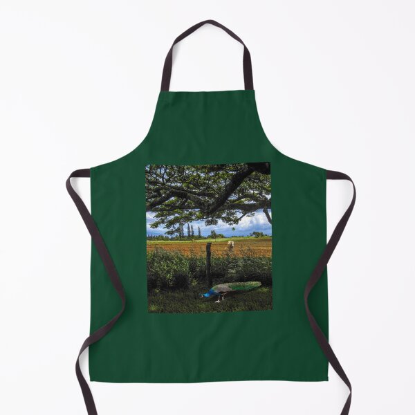 Item preview, 5064 designed and sold by peter holme III.