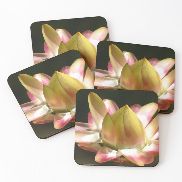 Item preview, Australian Strawflower designed and sold by Marilyn Harris.