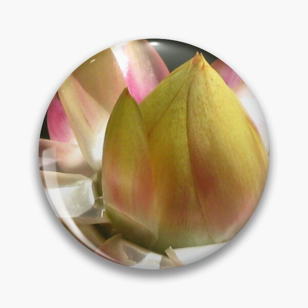 Item preview, Australian Strawflower designed and sold by Marilyn Harris.