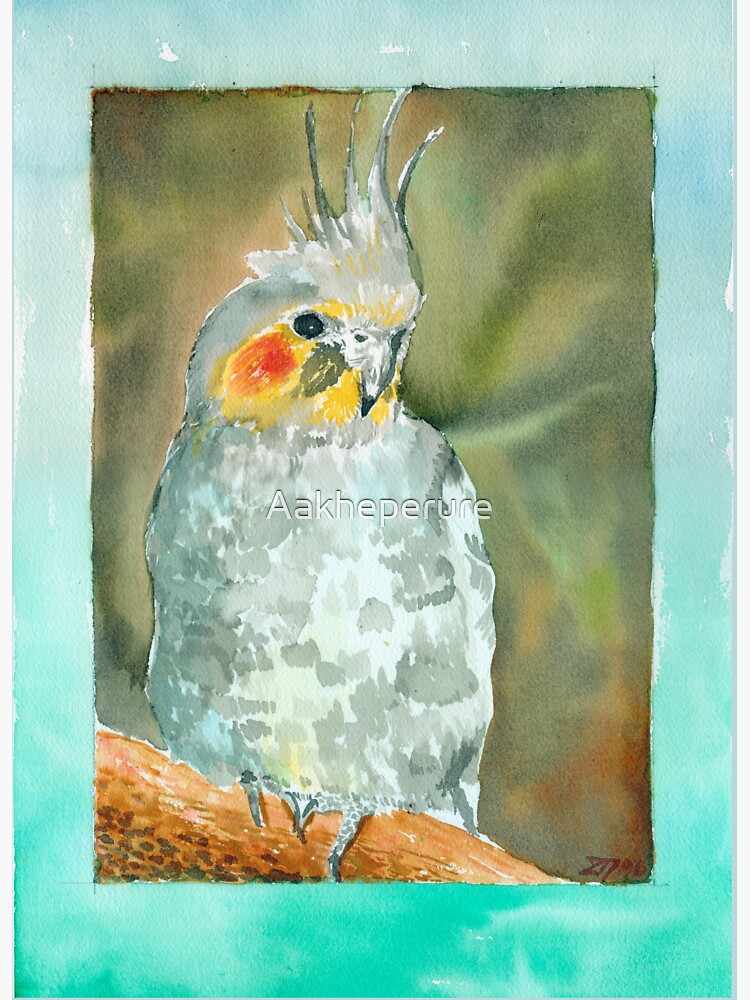Cockatiel by Aakheperure