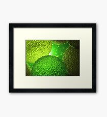 Macro Framed Print