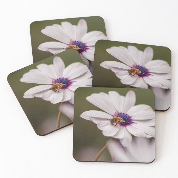 Item preview, Honey Bee Pollinating White Cape Daisy designed and sold by suziq1962.