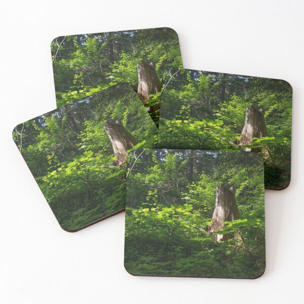 Item preview, Avalanche Lake Trail, Glacier National Park designed and sold by Grace Skelton.