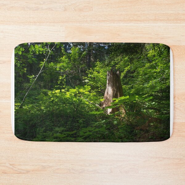 Item preview, Avalanche Lake Trail, Glacier National Park designed and sold by Grace Skelton.