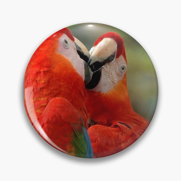 Item preview, Mixed Color Macaw Pairs designed and sold by yassinehelal.