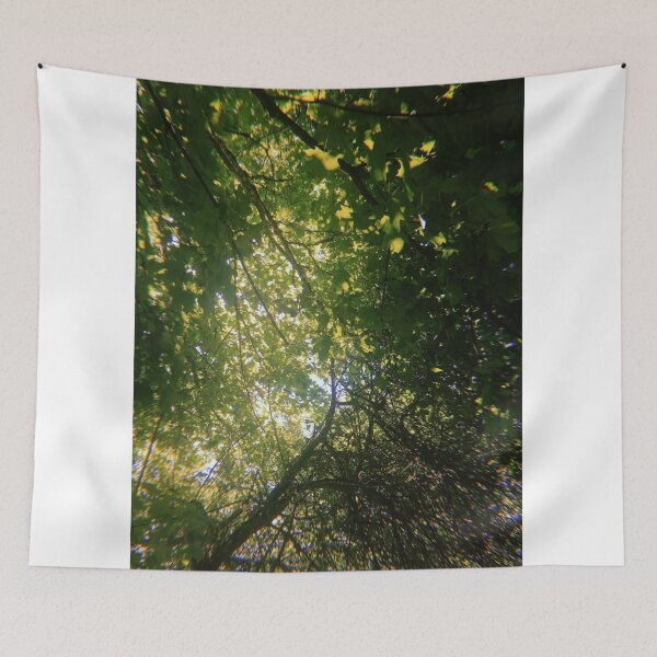 Item preview, Light through green nature trees designed and sold by abigail-hempell.