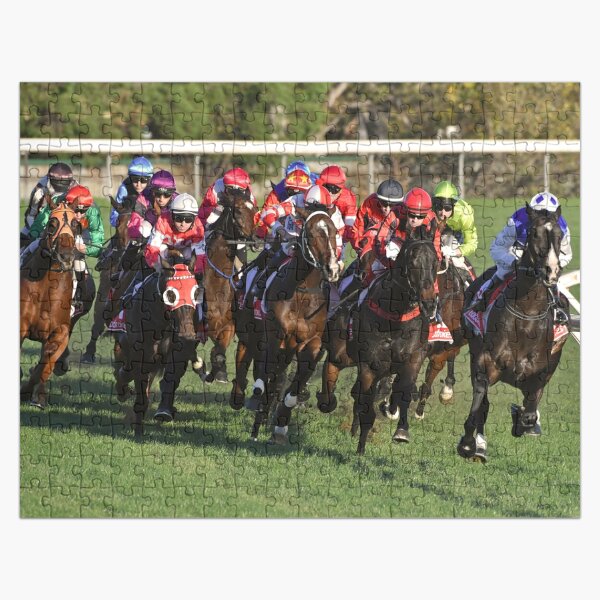 Aperçu de l'œuvre Action de courses de chevaux 11 créée et vendue par quentinjlang.