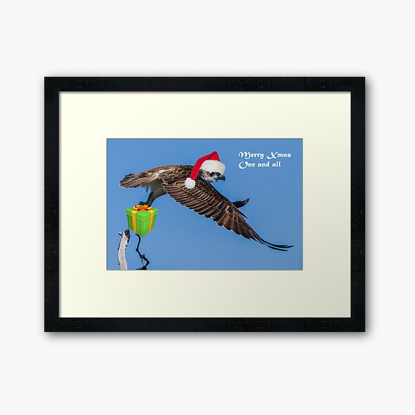 Xmas Osprey Framed Art Print