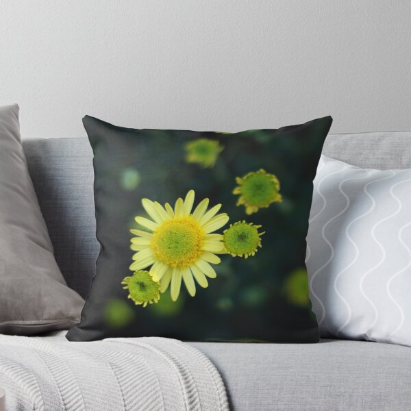 Artikelvorschau, GÄNSEBLÜMCHENBLUMEN-SONNENSCHEIN | Naturfoto entworfen und verkauft von PhotoStory.