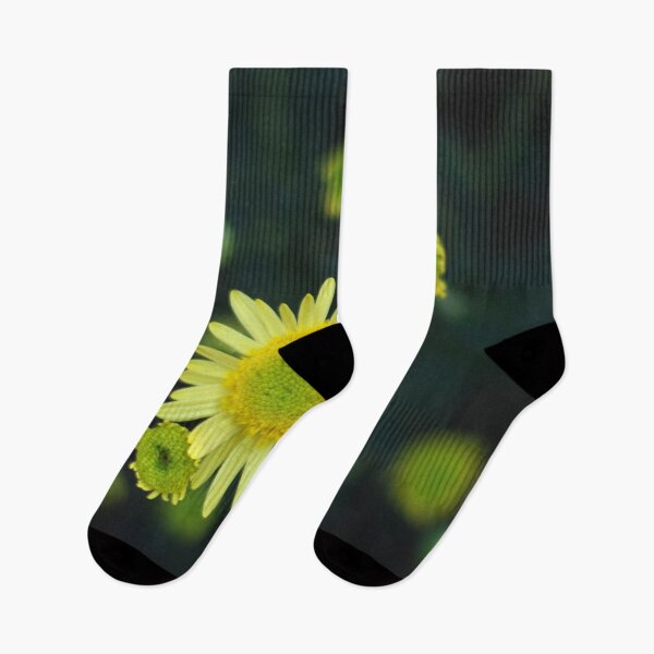 Item preview, DAISY FLOWER SUNSHINE | Nature Photo designed and sold by PhotoStory.