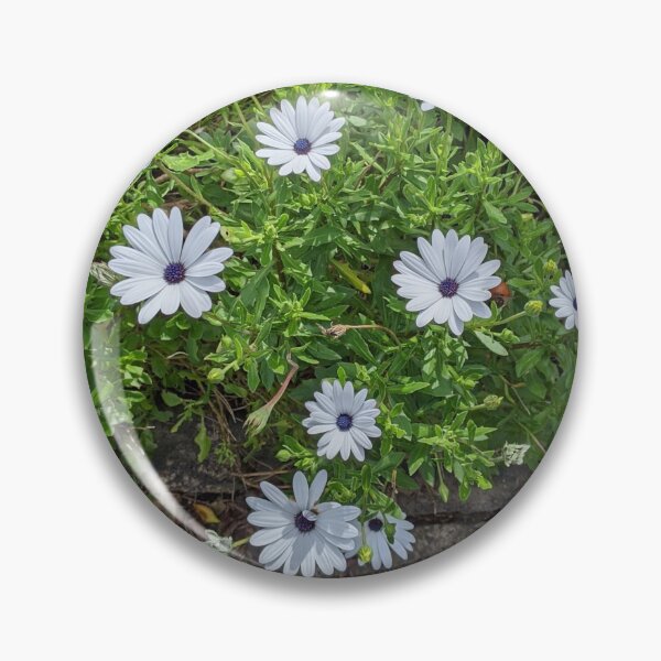 Item preview, Daisies along the path designed and sold by bernie868.