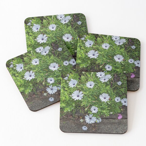 Item preview, Daisies along the path designed and sold by bernie868.