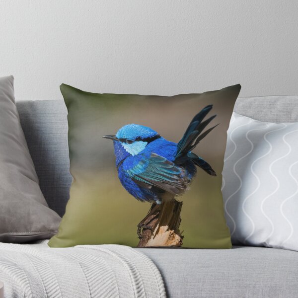 Aperçu de l'œuvre Splendid Fairy-wren Tail Up créée et vendue par Peter Caddy.