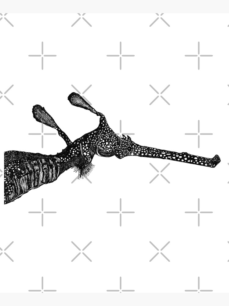 George the Weedy Sea Dragon by Wildcard-Sue