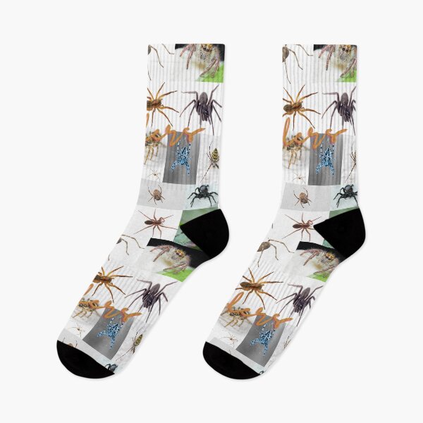 Item preview, Spirited Spiders designed and sold by MyLifeMatters20.