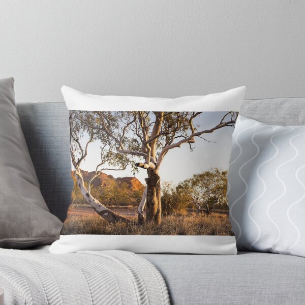 Item preview, Claypans 2, Central Australia designed and sold by pfleur.