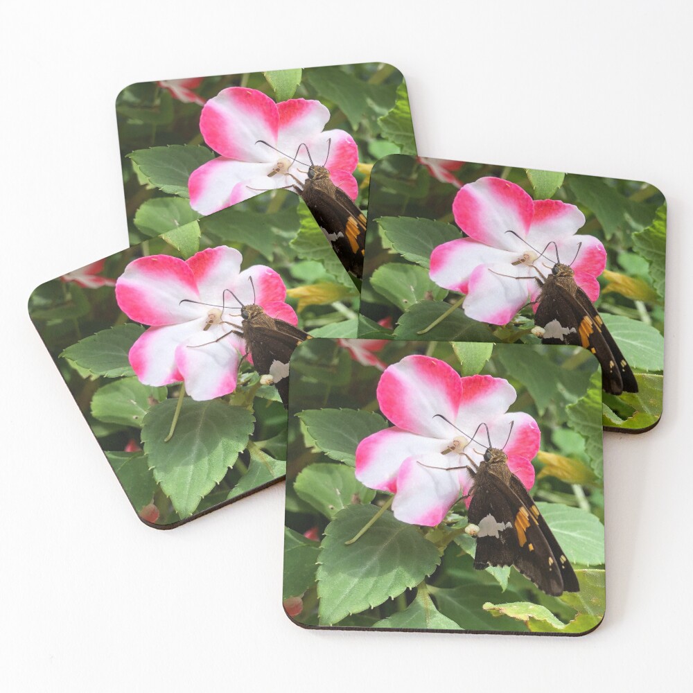 Item preview, Coasters (Set of 4) designed and sold by CustomMonster.
