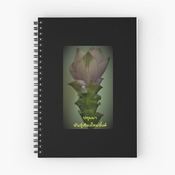 Artikelvorschau, Curcuma Chiang Mai Pink Gepflanzt in Chiang Mai Große Blumenauswahl entworfen und verkauft von greengoodnich.