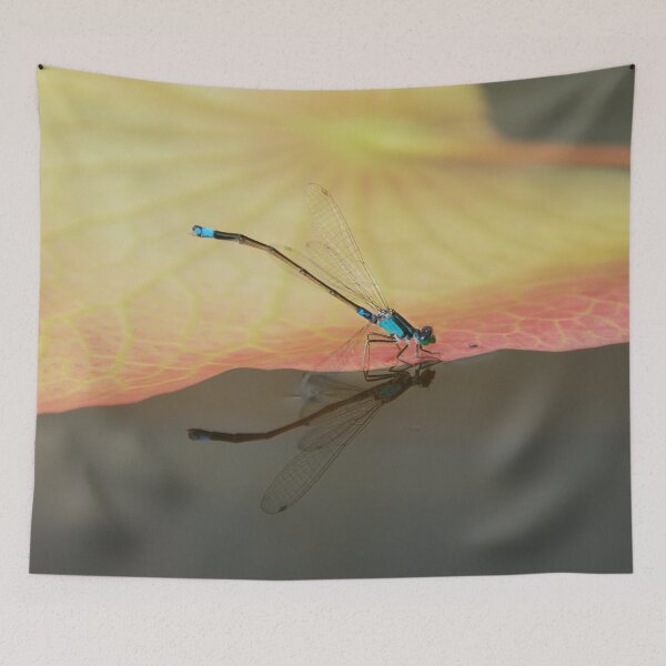 Item preview, DRAGONFLY REFLECTION | Insect Picture designed and sold by PhotoStory.