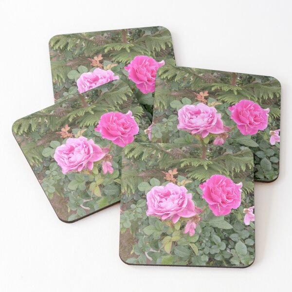 Item preview, pink and red roses at my garden designed and sold by basitcv.