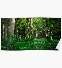 Japanese Forest Poster