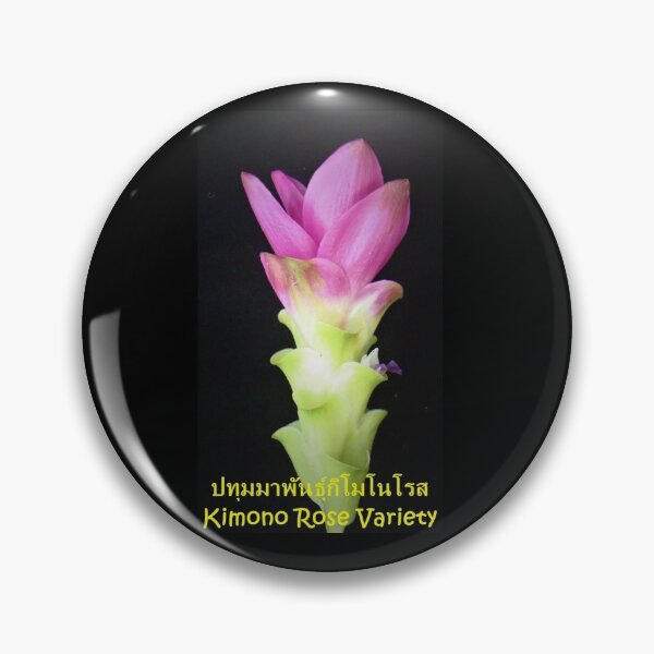 Item preview, Curcuma, Kimono Rose Variety in Thailand Big flower selection designed and sold by greengoodnich.