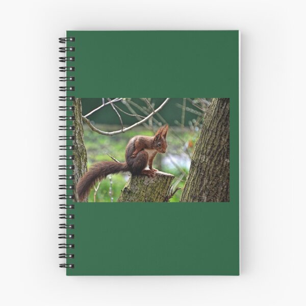 Item preview, Red Squirrel .......... designed and sold by lynn carter.
