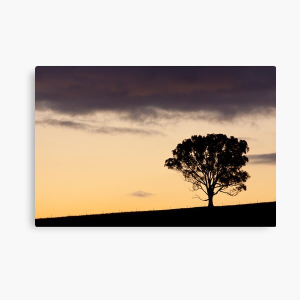 Ridgetop Tree Canvas Print