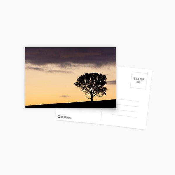 Ridgetop Tree Postcard