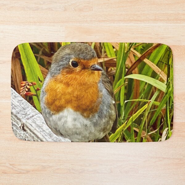 Item preview, A robin red breast  designed and sold by Alan Mackinnon.