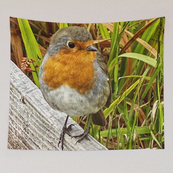 Item preview, A robin red breast  designed and sold by Alan Mackinnon.