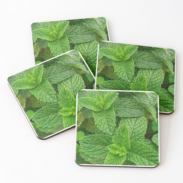 Item preview, Fresh Pudina Plant  designed and sold by So Witcasm ?.
