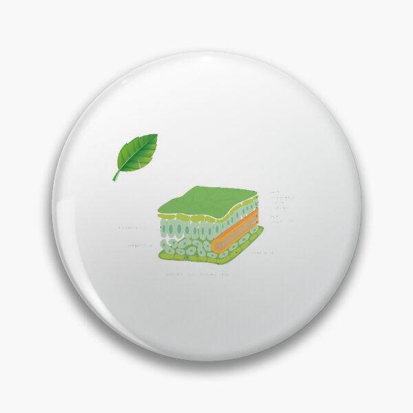 Item preview, leaf cross section diagram poster | science teacher poster  designed and sold by KARTICK DUTTA.