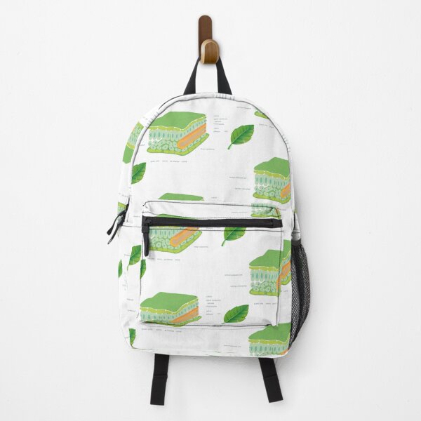 Item preview, leaf cross section diagram poster | science teacher poster designed and sold by KARTICK DUTTA.