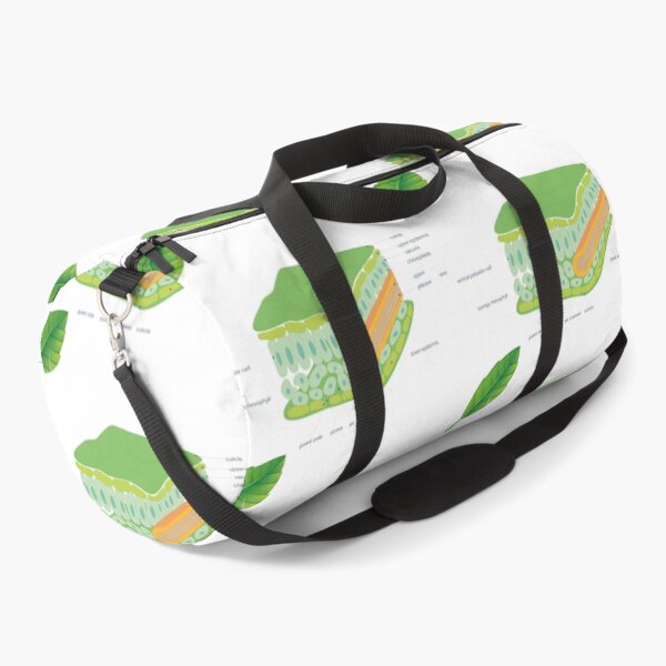 Item preview, leaf cross section diagram poster | science teacher poster  designed and sold by KARTICK DUTTA.