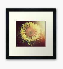 Vintage Light / 1 Framed Print