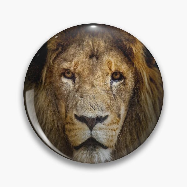 Item preview, Regal designed and sold by GavinScott.