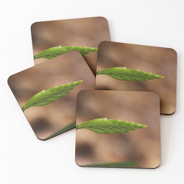 Item preview, Bud Of Freesia  designed and sold by Joy Watson - Natural Light Photography .