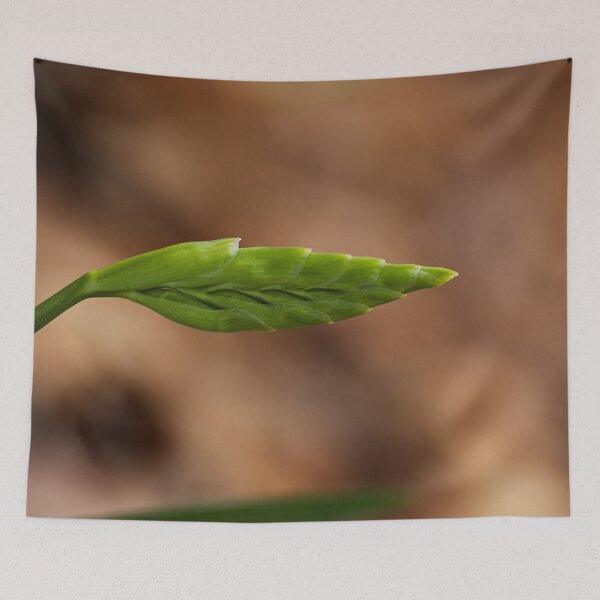 Item preview, Bud Of Freesia  designed and sold by Joy Watson - Natural Light Photography .