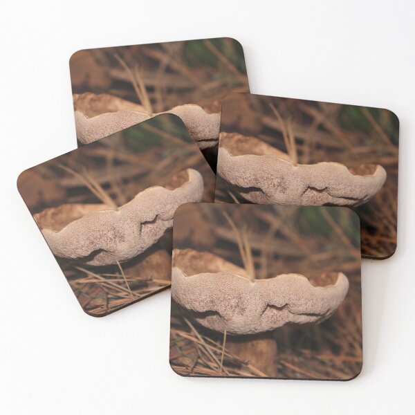 Item preview, North Carolina Mushroom #2 designed and sold by aprilann.