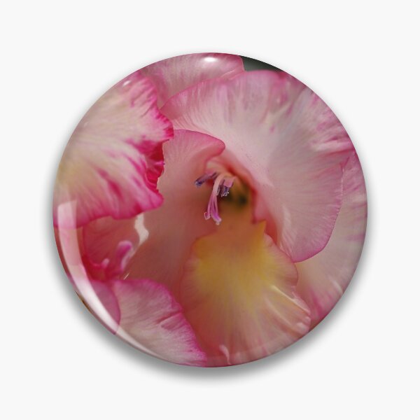 Item preview, Gladiolus Flowers Bunch designed and sold by Joy Watson - Natural Light Photography .