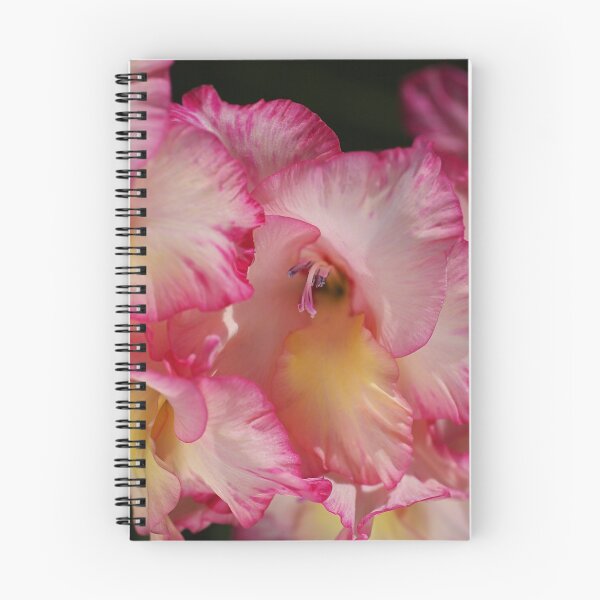 Item preview, Gladiolus Flowers Bunch designed and sold by Joy Watson - Natural Light Photography .