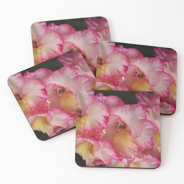 Item preview, Gladiolus Flowers Bunch designed and sold by Joy Watson - Natural Light Photography .