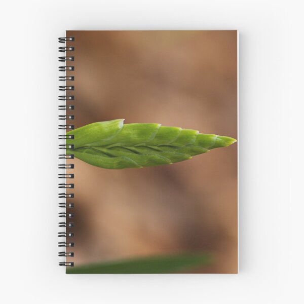 Item preview, Bud Of Freesia  designed and sold by Joy Watson - Natural Light Photography .