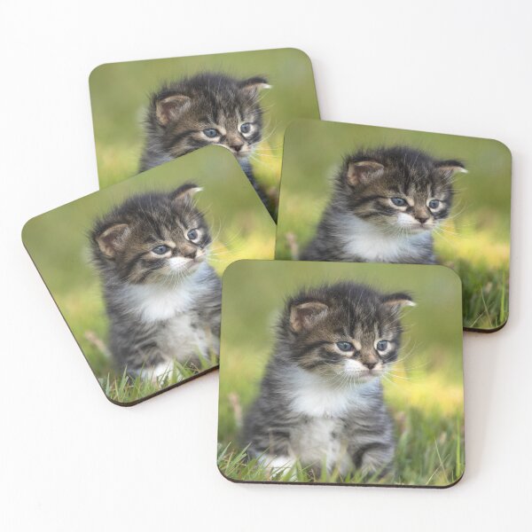 Item preview, Cute Adorable Kittens #1 designed and sold by WizardsWorld.