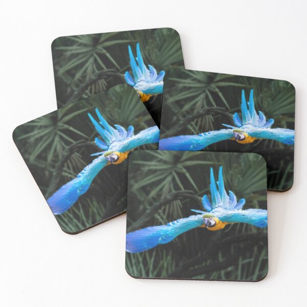 Item preview, Blue and gold Macaw in flight designed and sold by DVart-nz.