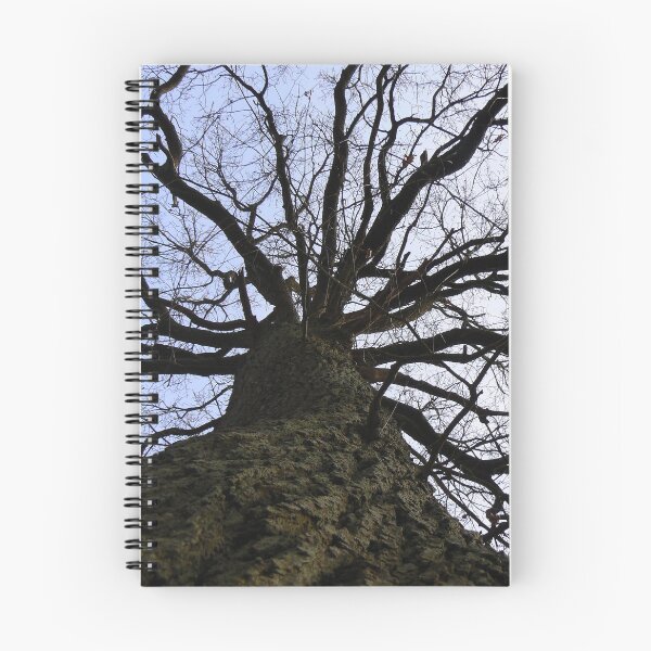 Item preview, Tree perspective designed and sold by WonderBubbles.