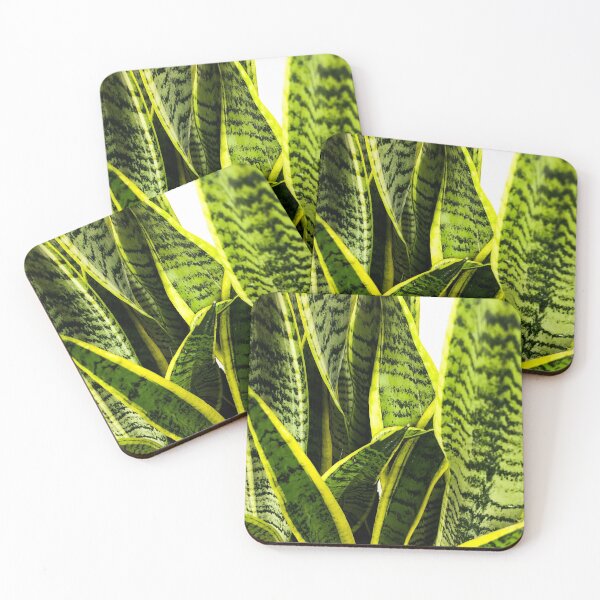 Item preview, Sansevieria snake plant designed and sold by Asiantiger247.