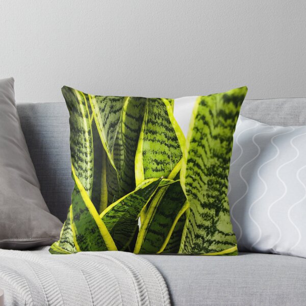 Item preview, Sansevieria snake plant designed and sold by Asiantiger247.